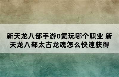 新天龙八部手游0氪玩哪个职业 新天龙八部太古龙魂怎么快速获得